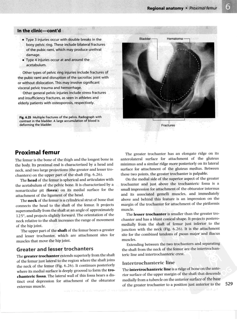 格氏解剖学教学版++第2版_551-600.pdf_第3页