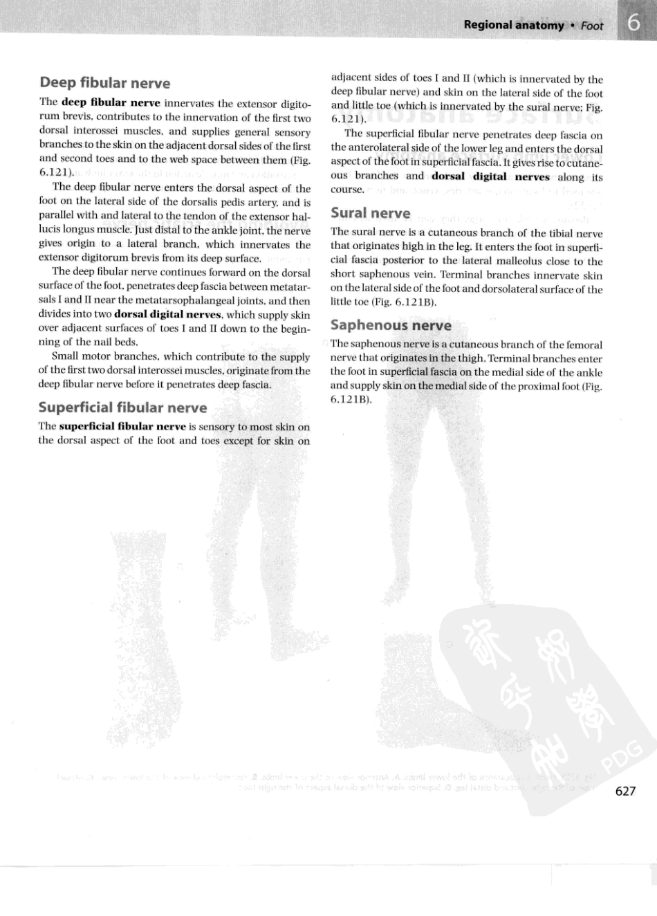格氏解剖学教学版++第2版_651-700.pdf_第1页