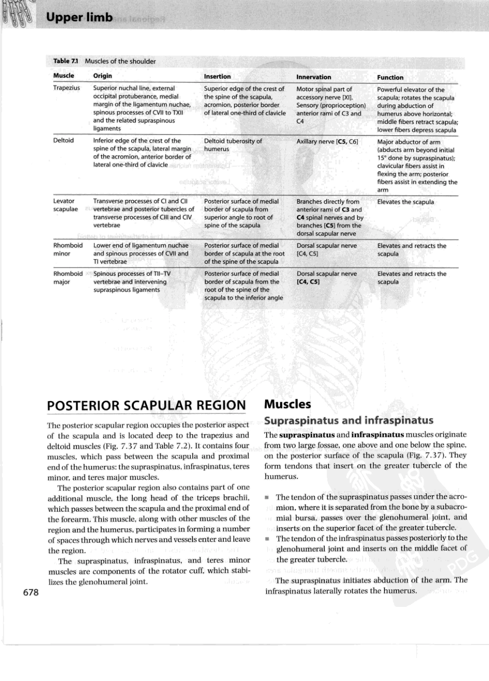 格氏解剖学教学版++第2版_701-750.pdf_第2页