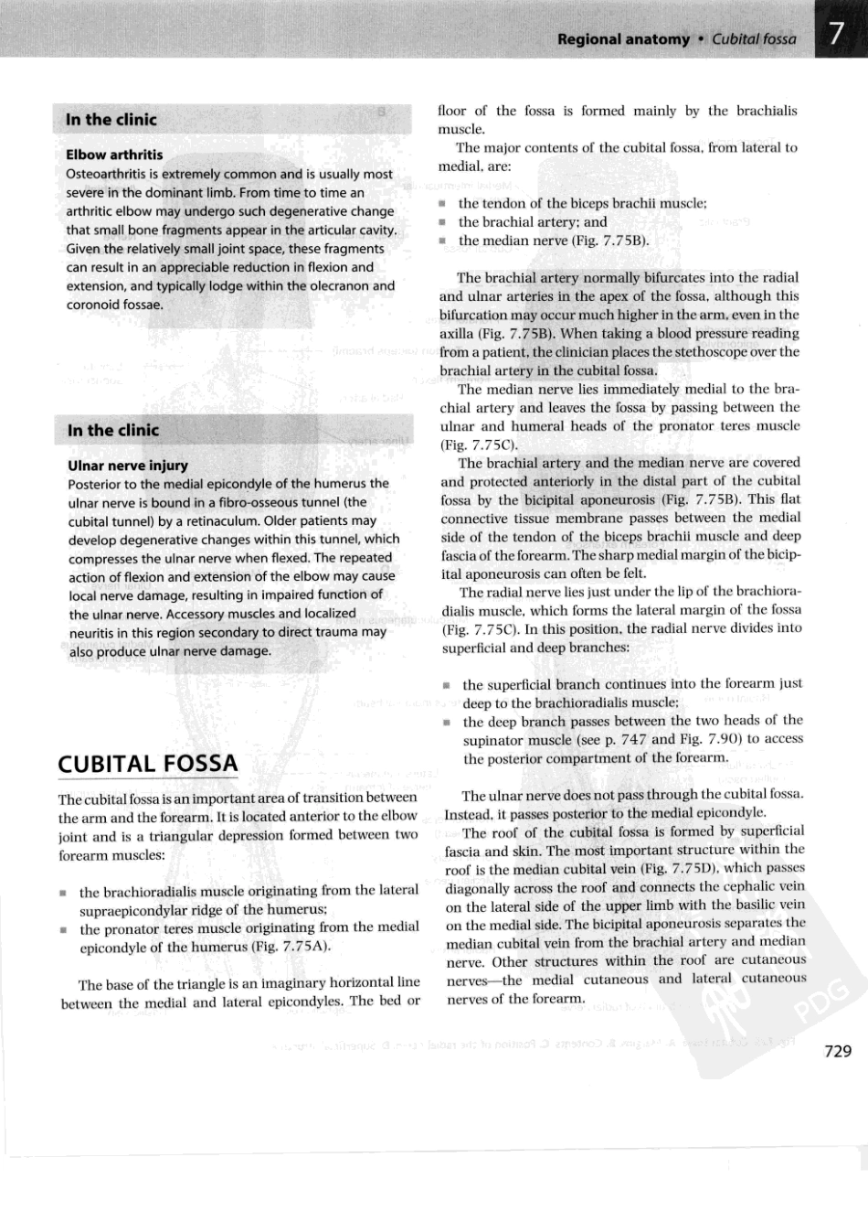格氏解剖学教学版++第2版_751-800.pdf_第3页