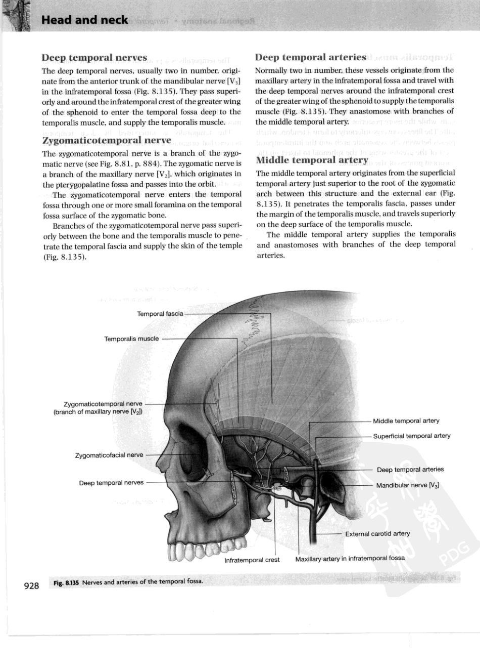 格氏解剖学教学版++第2版_951-1000.pdf_第2页