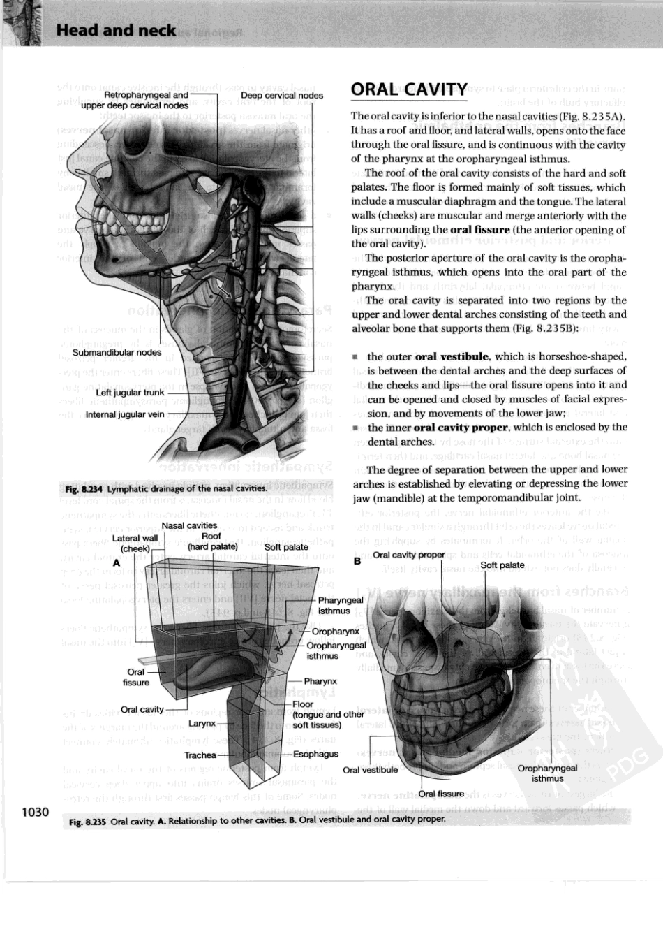 格氏解剖学教学版++第2版_1051-1100.pdf_第3页