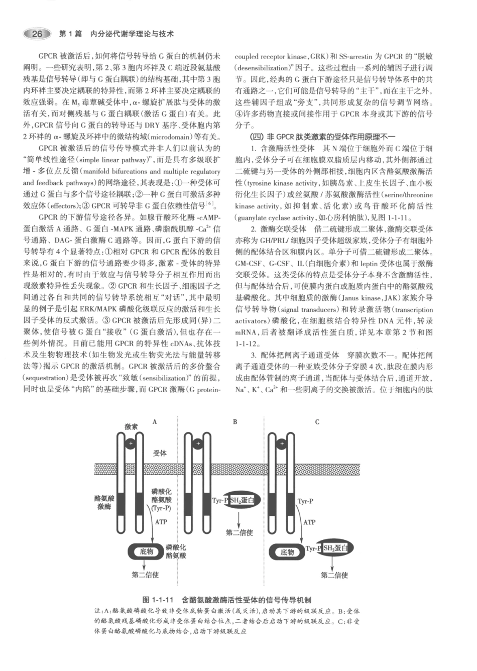 内分泌代谢病学  第3版  上册_61-75.pdf_第1页