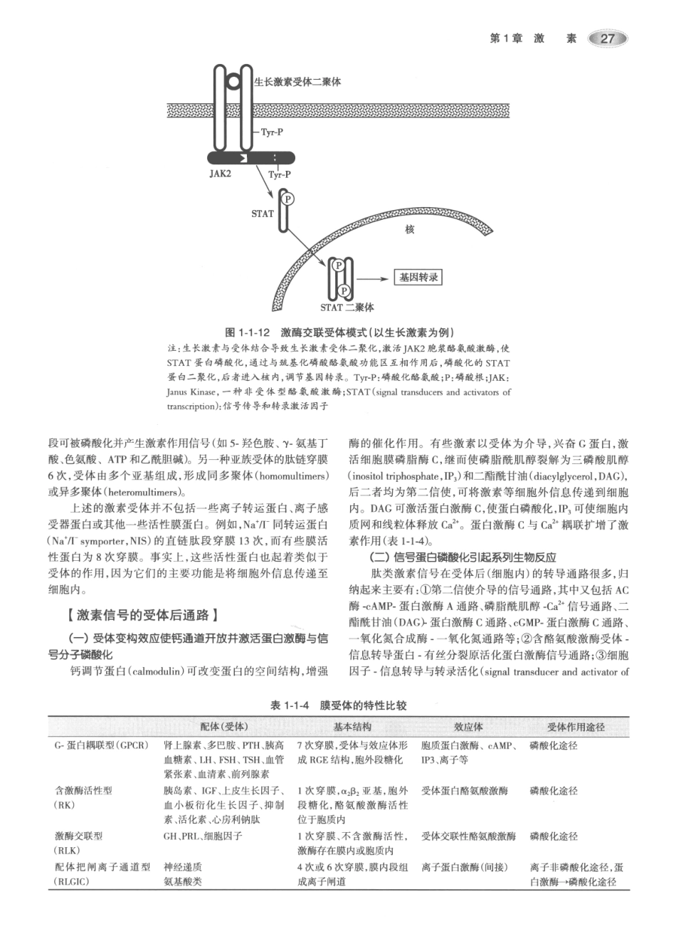 内分泌代谢病学  第3版  上册_61-75.pdf_第2页