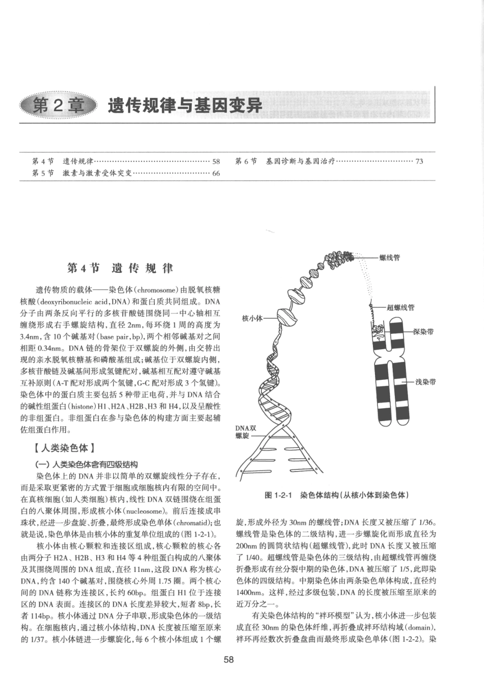 内分泌代谢病学  第3版  上册_91-105.pdf_第3页