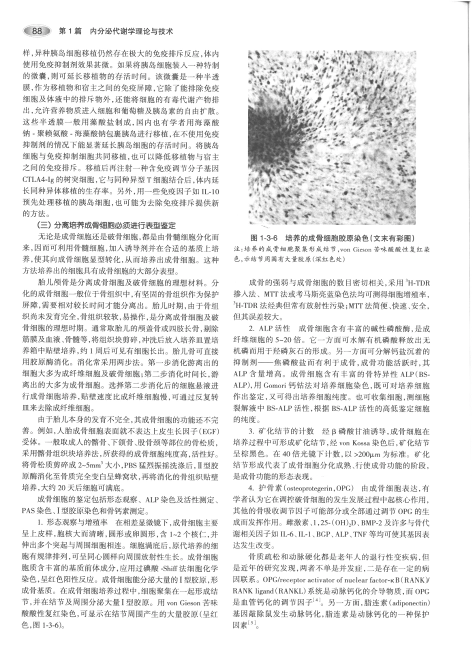 内分泌代谢病学  第3版  上册_121-135.pdf_第3页