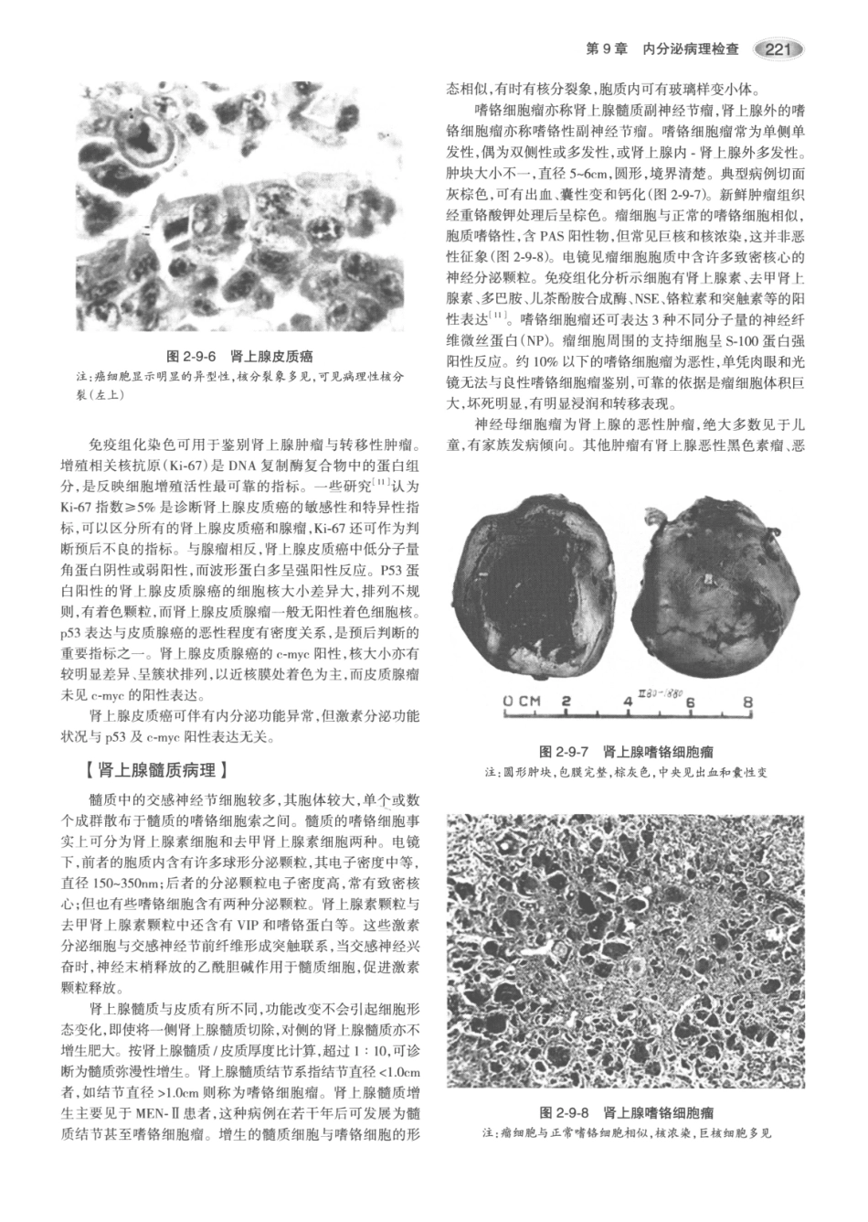 内分泌代谢病学  第3版  上册_256-270.pdf_第1页