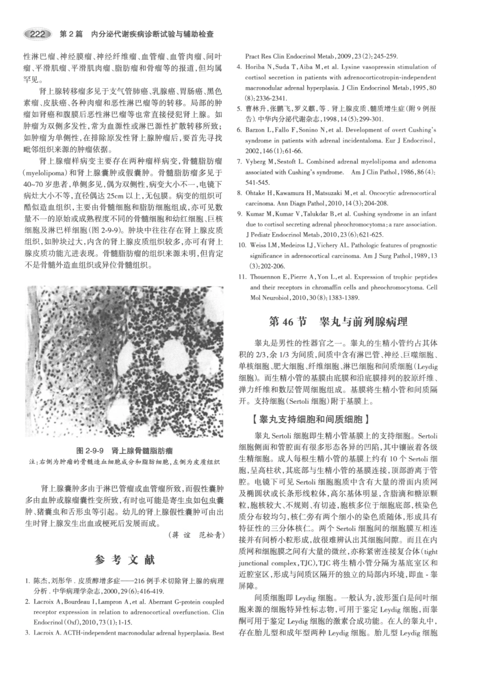 内分泌代谢病学  第3版  上册_256-270.pdf_第2页