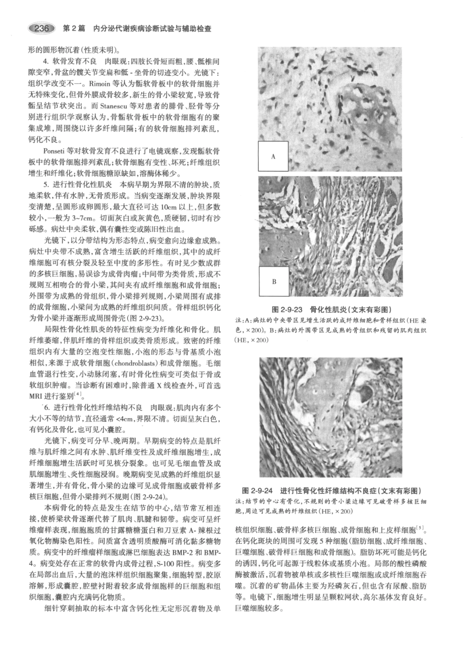 内分泌代谢病学  第3版  上册_271-285.pdf_第1页