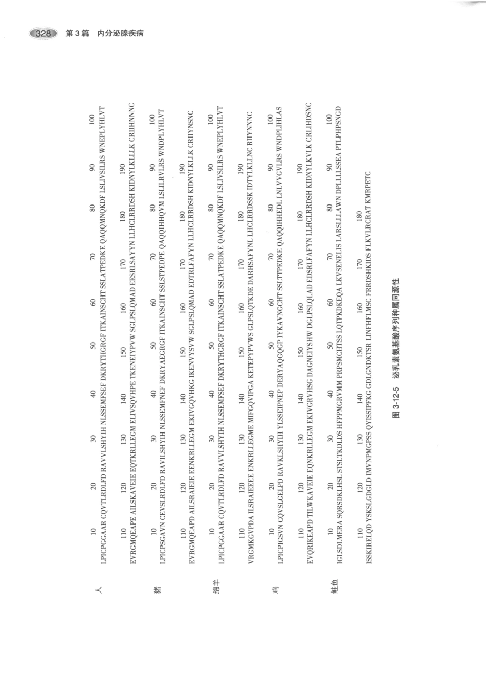内分泌代谢病学  第3版  上册_361-375.pdf_第3页