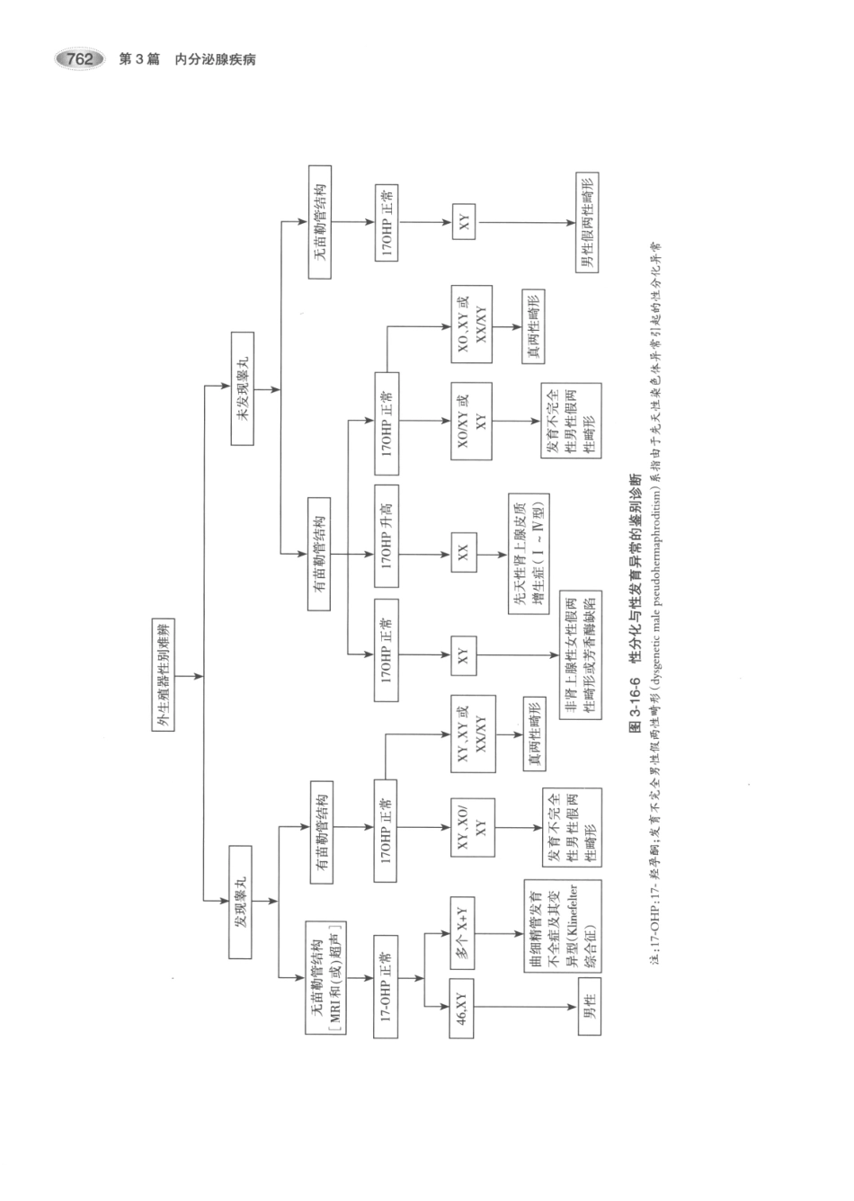 内分泌代谢病学  第3版  上册_796-810.pdf_第2页