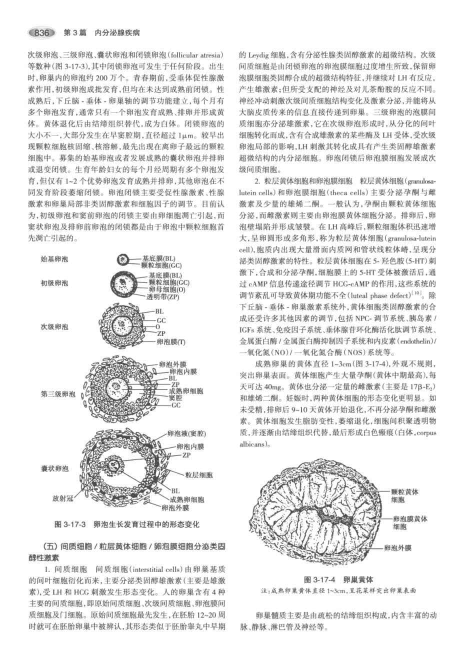 内分泌代谢病学  第3版  上册_871-885.pdf_第1页