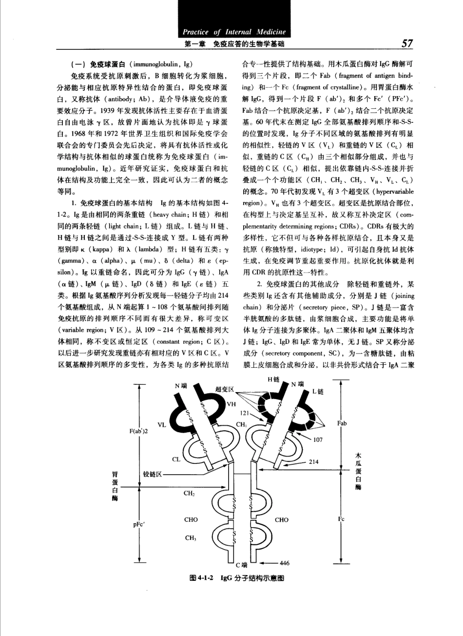 实用内科学（第12版）[www.m1835.com 1835医学网]_81-120.pdf_第1页