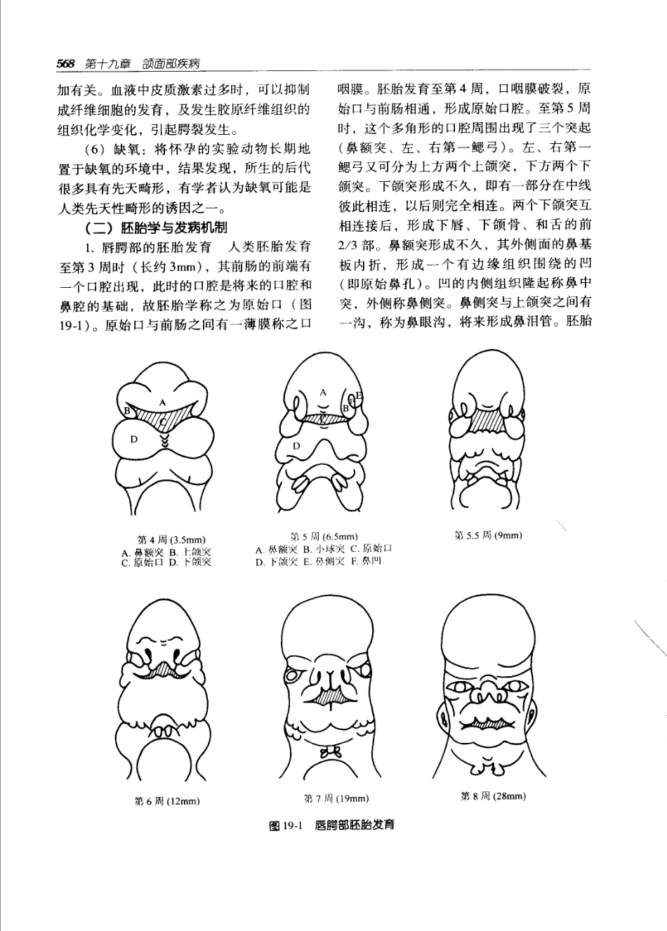 实用外科学（第二版）（上、下册）_601-660.pdf_第3页