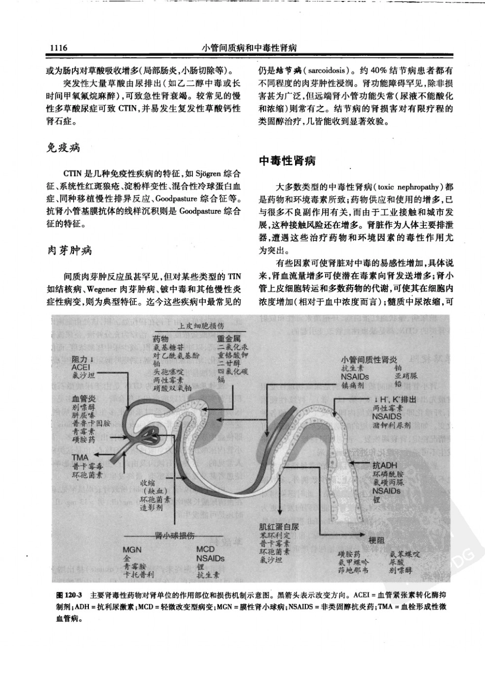 西氏内科学(中文第22版上册)_1151-1200.pdf_第3页