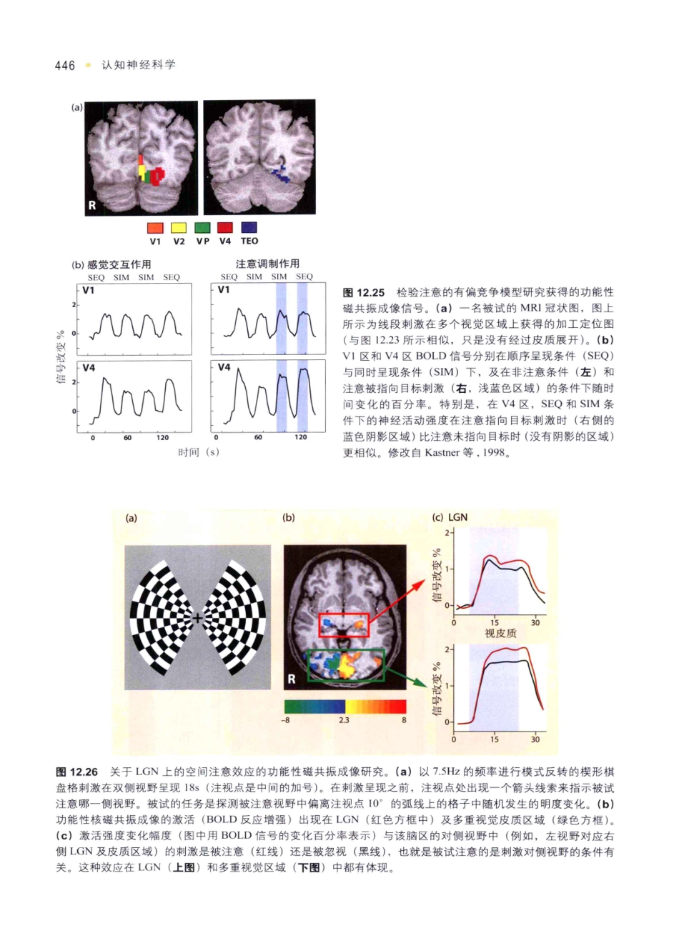 认知神经科学：关于心智的生物学（美）MICHAEL S.GAZZANIGA_456-490.pdf_第2页