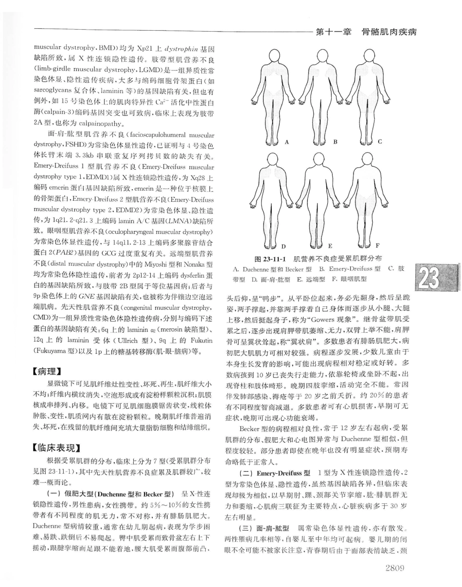 实用内科学（下册）人卫第14版_1501-1520.pdf_第2页