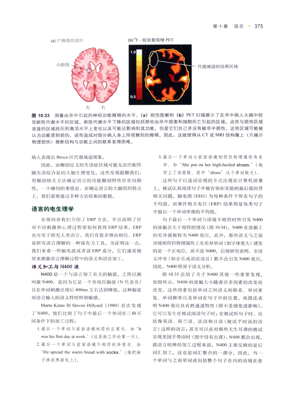 认知神经科学：关于心智的生物学（美）MICHAEL S.GAZZANIGA_386-420.pdf_第1页
