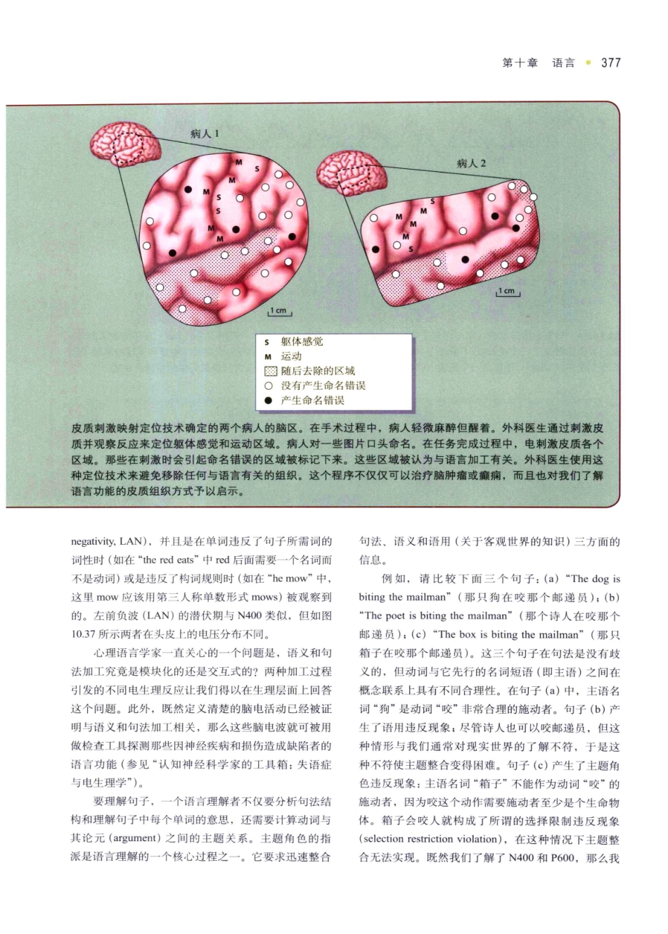 认知神经科学：关于心智的生物学（美）MICHAEL S.GAZZANIGA_386-420.pdf_第3页