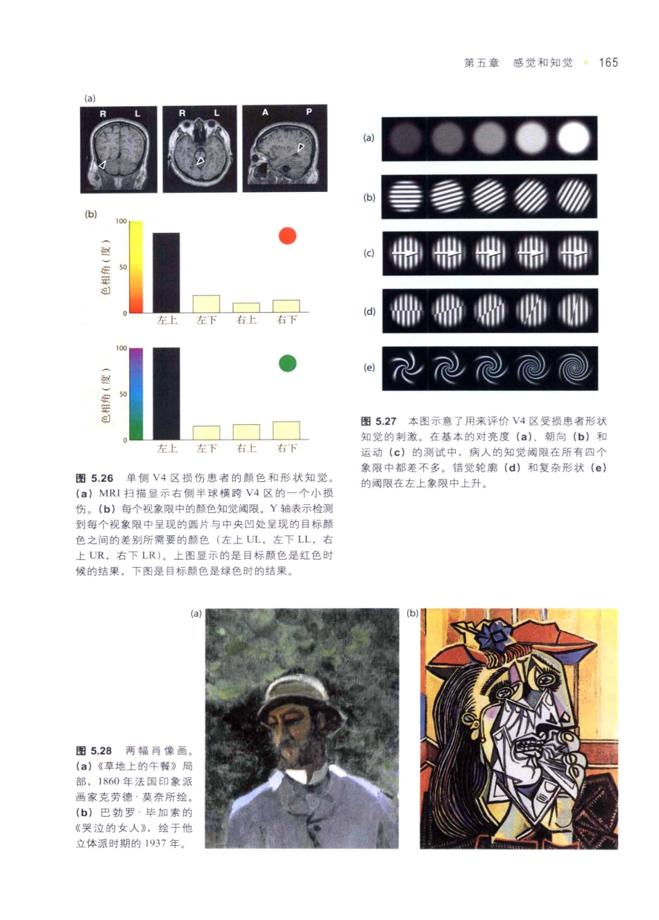 认知神经科学：关于心智的生物学（美）MICHAEL S.GAZZANIGA_176-210.pdf_第1页