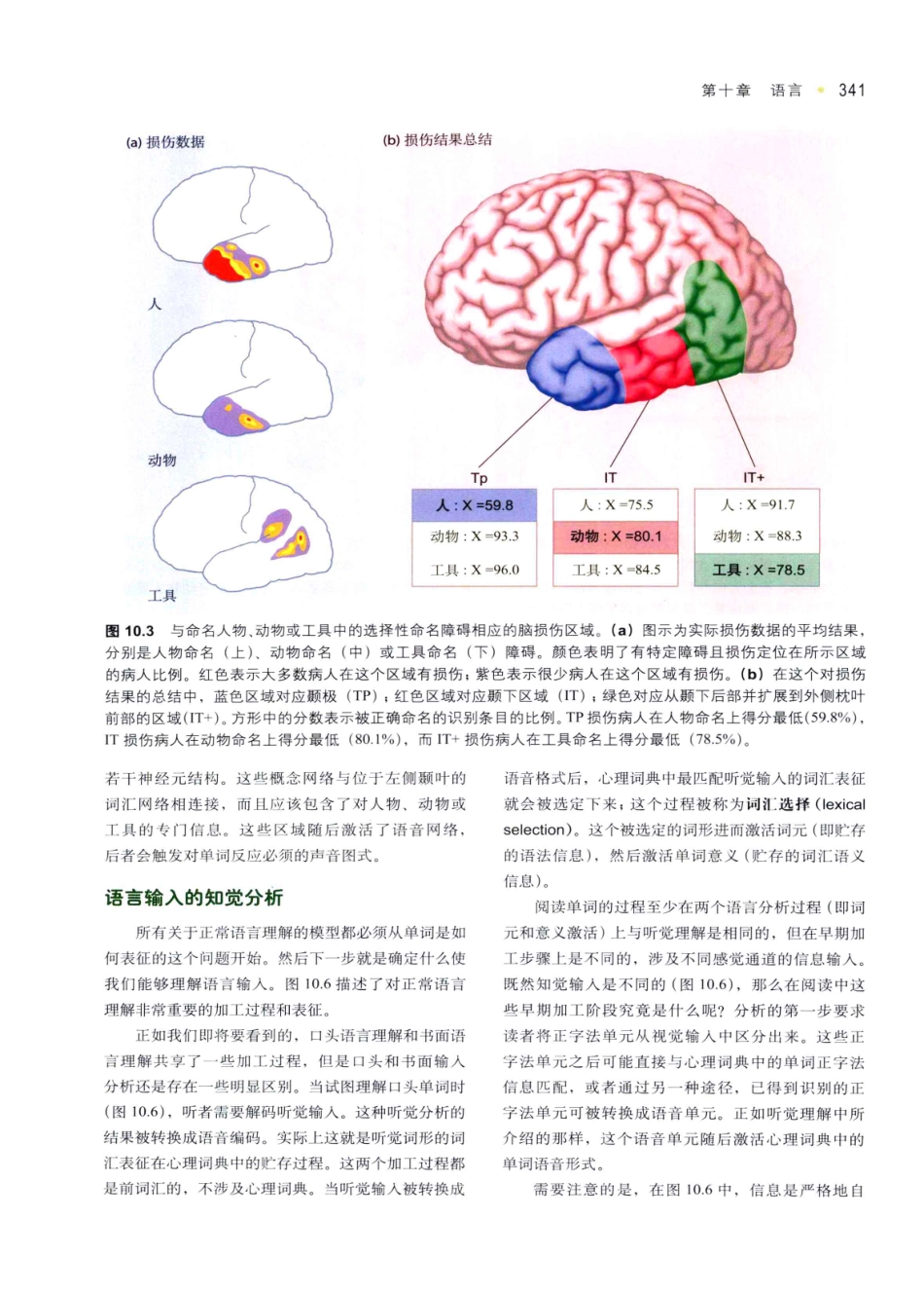 认知神经科学：关于心智的生物学（美）MICHAEL S.GAZZANIGA_351-385.pdf_第2页