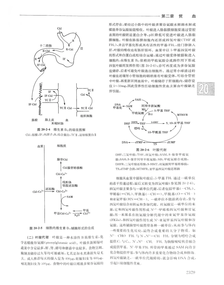 实用内科学（下册）人卫第14版_1021-1040.pdf_第2页