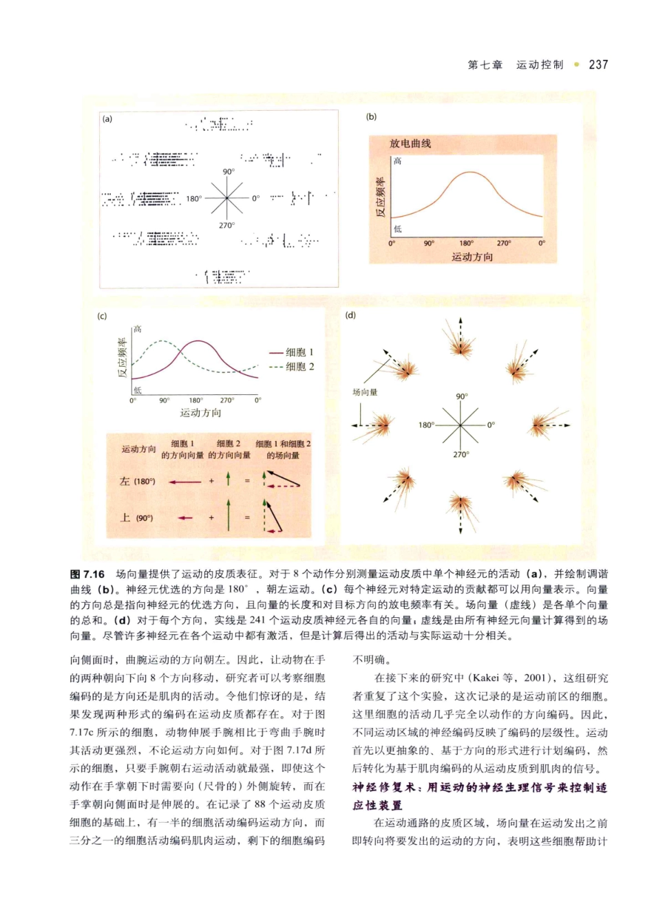 认知神经科学：关于心智的生物学（美）MICHAEL S.GAZZANIGA_246-280.pdf_第3页