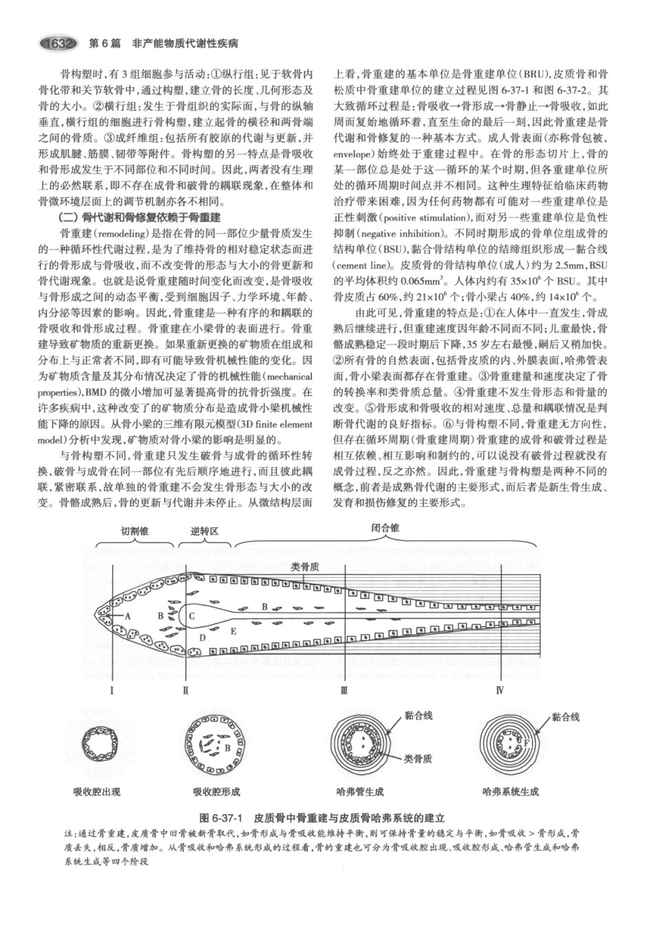 内分泌代谢病学  第3版  下册_676-690.pdf_第1页