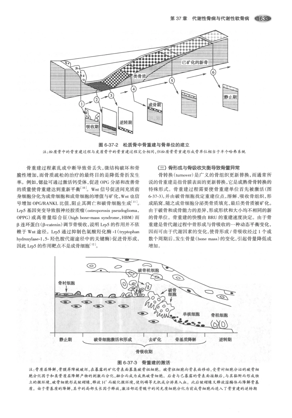 内分泌代谢病学  第3版  下册_676-690.pdf_第2页