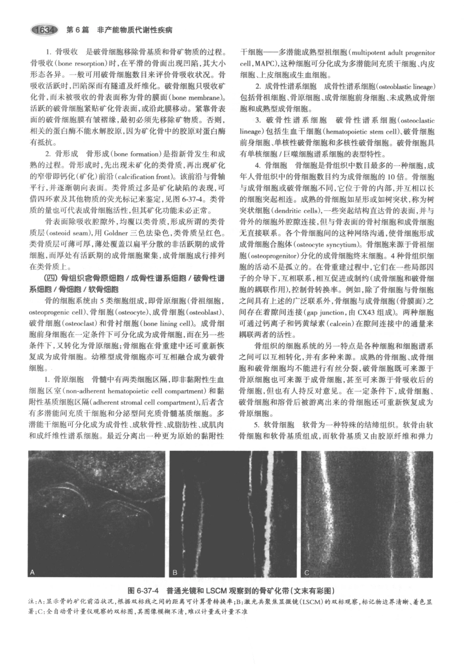 内分泌代谢病学  第3版  下册_676-690.pdf_第3页
