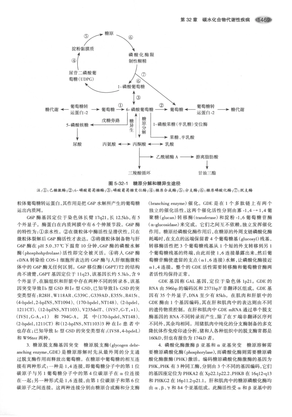 内分泌代谢病学  第3版  下册_511-525.pdf_第3页