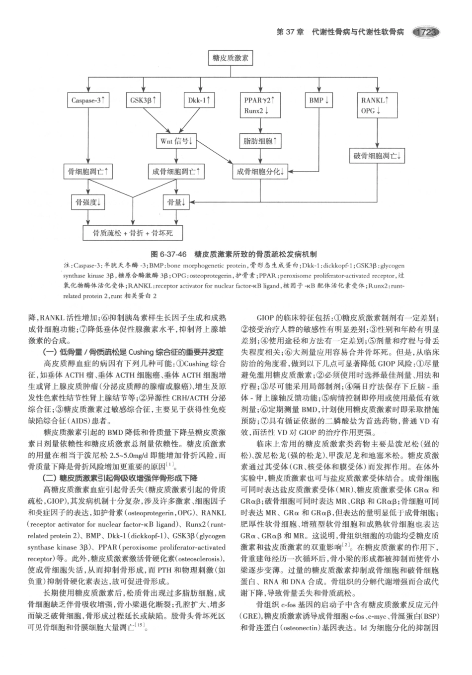 内分泌代谢病学  第3版  下册_766-780.pdf_第2页