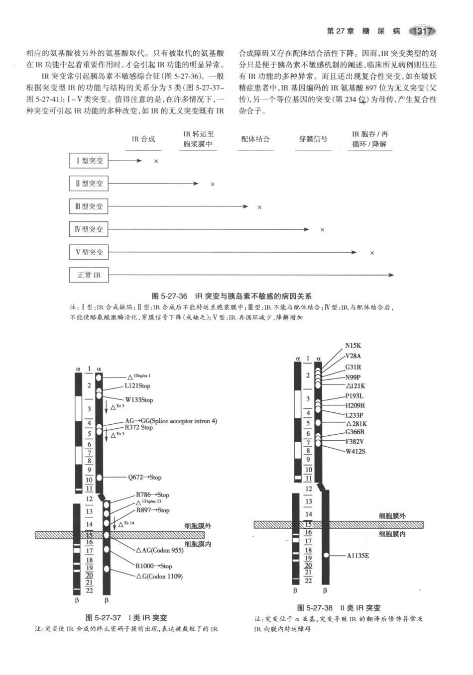 内分泌代谢病学  第3版  下册_361-375.pdf_第1页