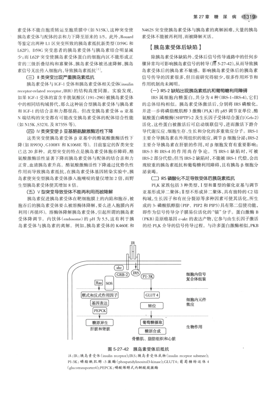 内分泌代谢病学  第3版  下册_361-375.pdf_第3页