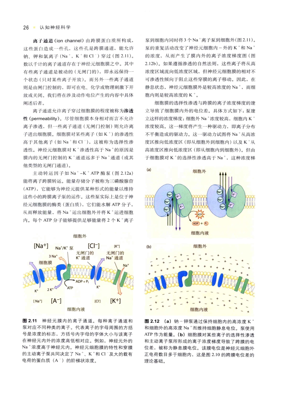 认知神经科学：关于心智的生物学（美）MICHAEL S.GAZZANIGA_36-70.pdf_第2页