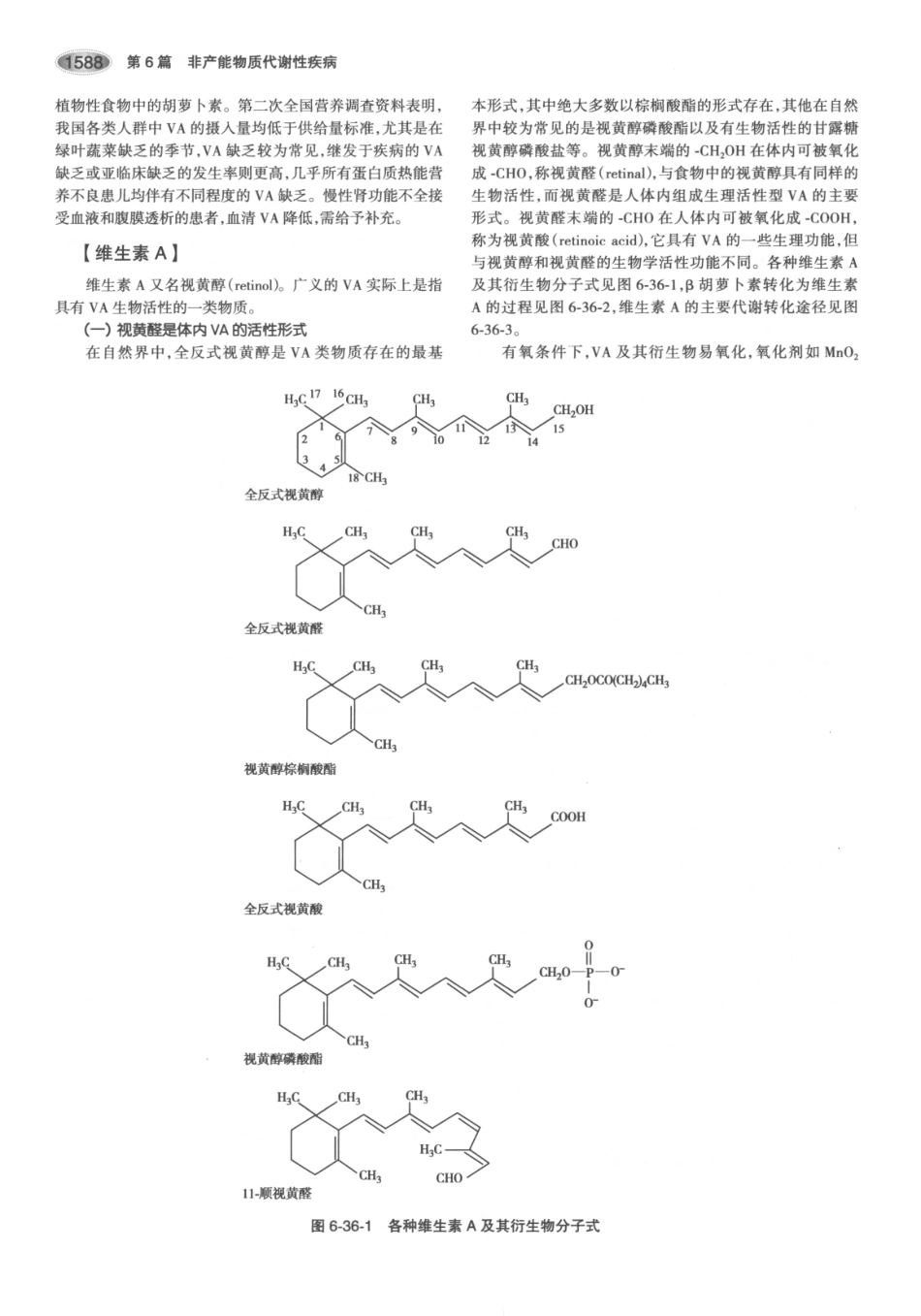内分泌代谢病学  第3版  下册_631-645.pdf_第2页