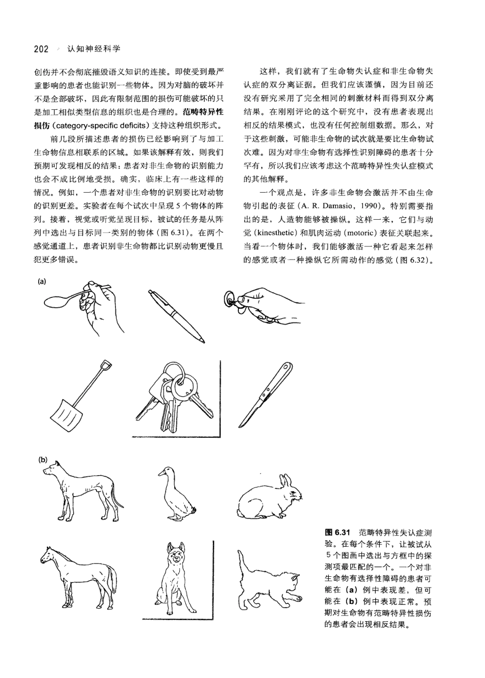 认知神经科学：关于心智的生物学（美）MICHAEL S.GAZZANIGA_211-245.pdf_第3页