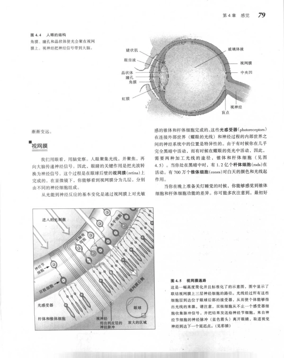 心理学与生活_101-150.pdf_第2页