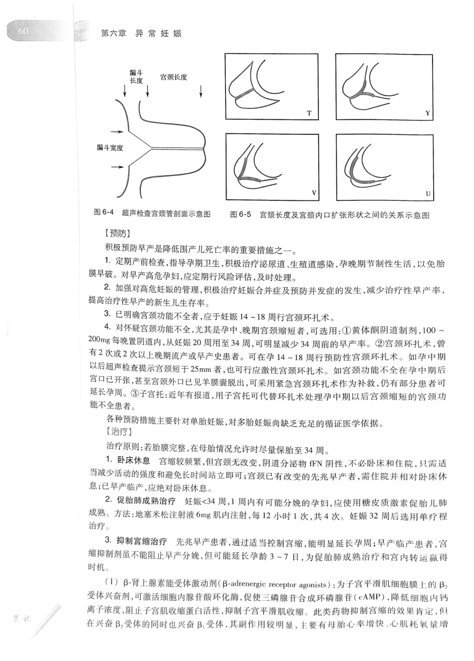 03.妇产科学（第8版）_89-110.pdf_第1页