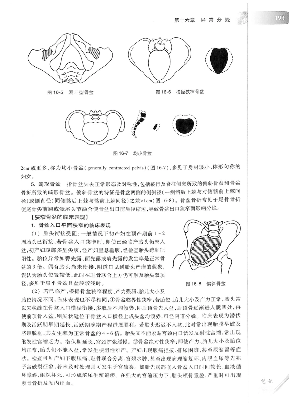 03.妇产科学（第8版）_221-242.pdf_第2页