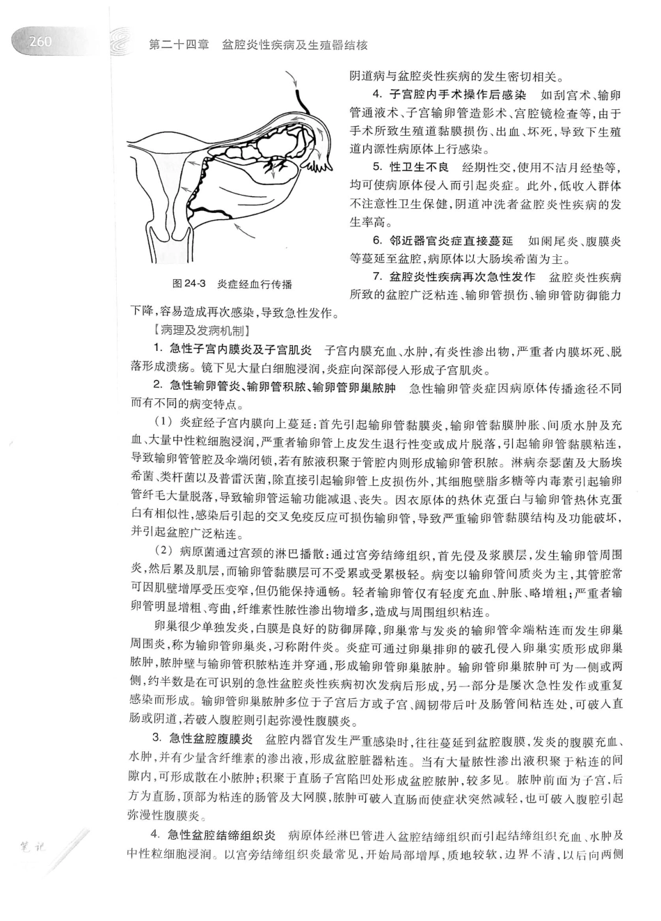 03.妇产科学（第8版）_287-308.pdf_第3页