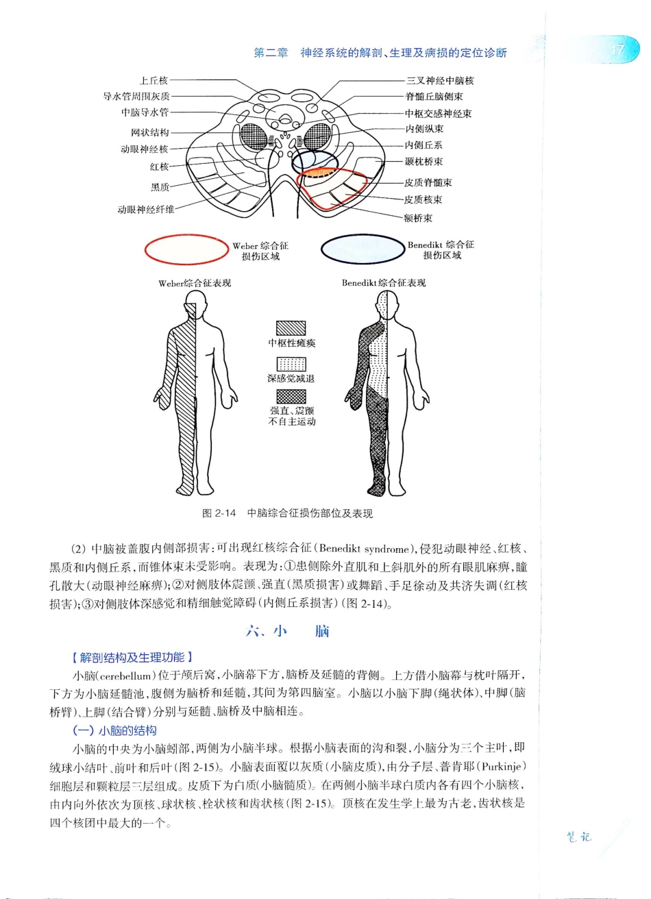 06.神经病学（第7版）_41-60.pdf_第2页