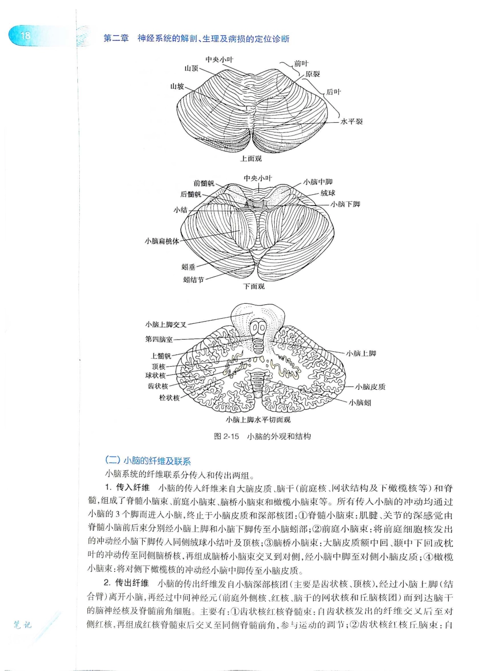 06.神经病学（第7版）_41-60.pdf_第3页