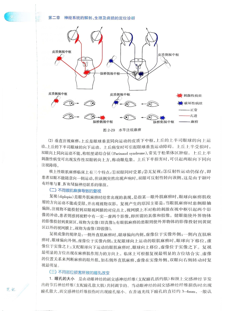 06.神经病学（第7版）_61-80.pdf_第1页