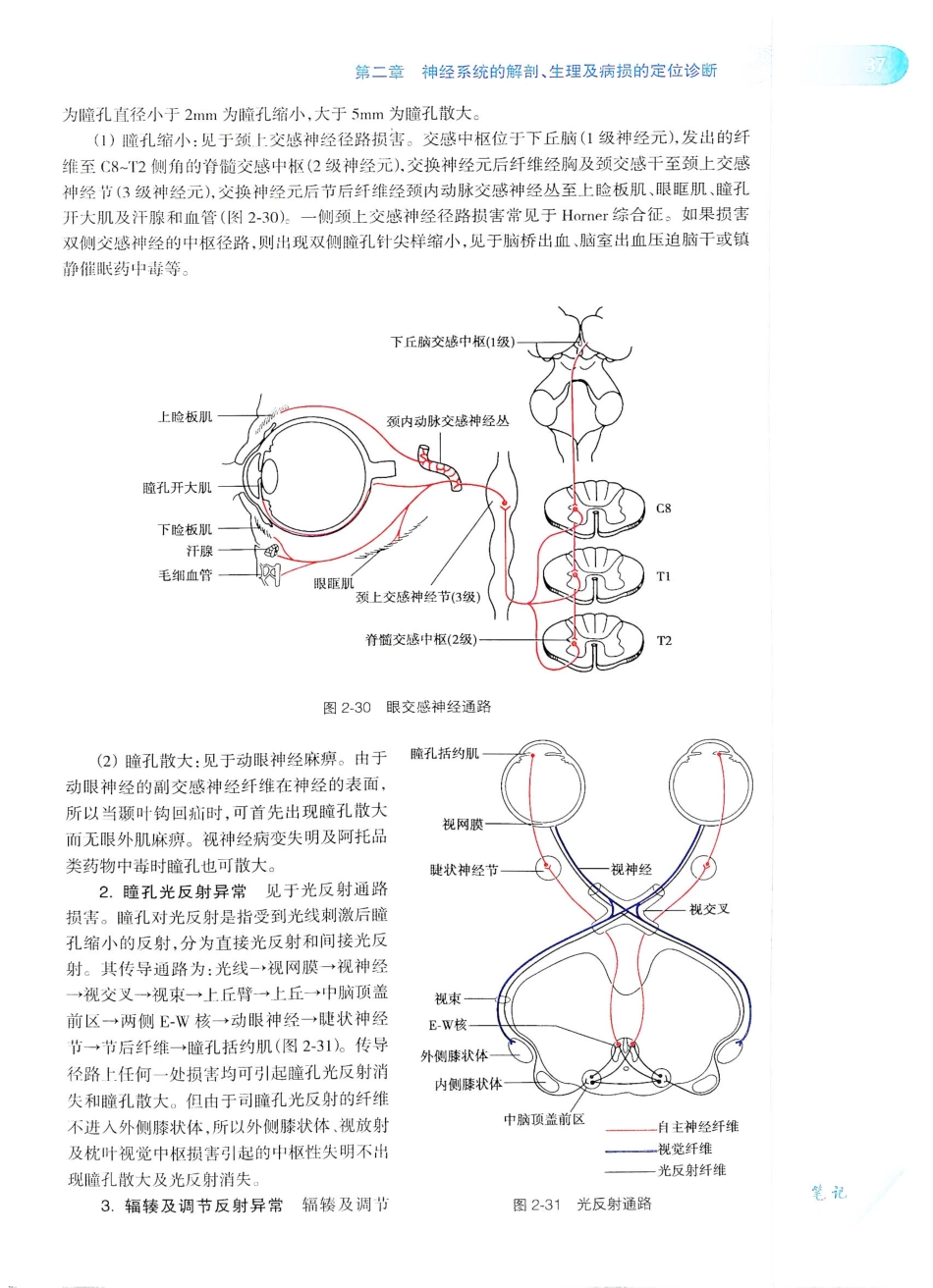 06.神经病学（第7版）_61-80.pdf_第2页