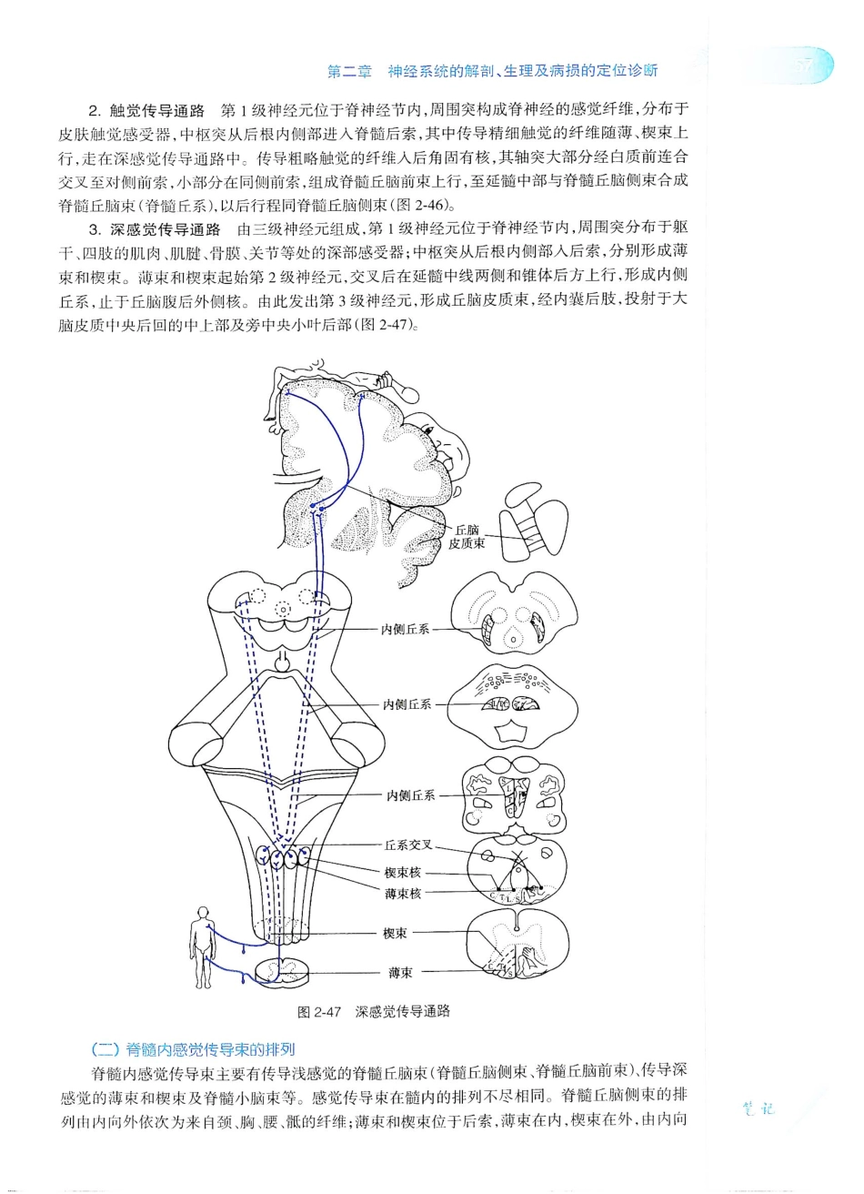 06.神经病学（第7版）_81-100.pdf_第2页