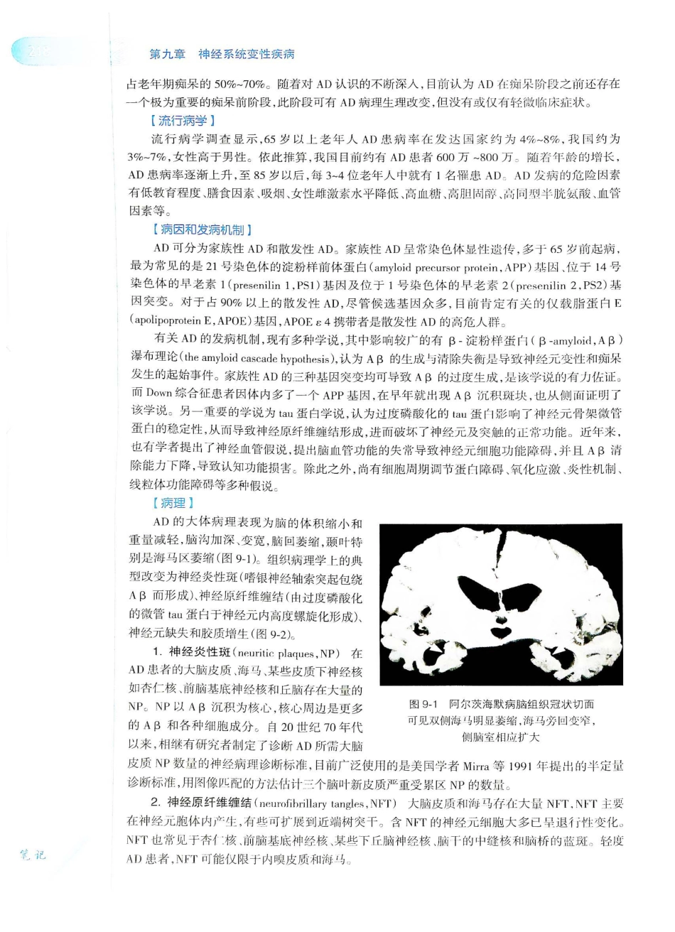 06.神经病学（第7版）_241-260.pdf_第3页