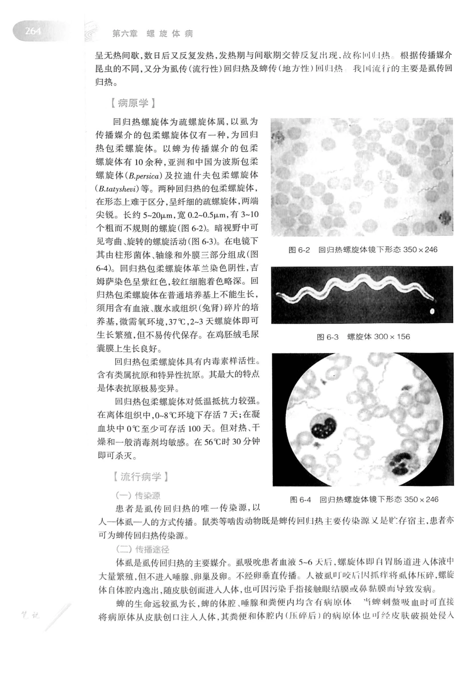 08.传染病学（第8版）_281-300.pdf_第2页
