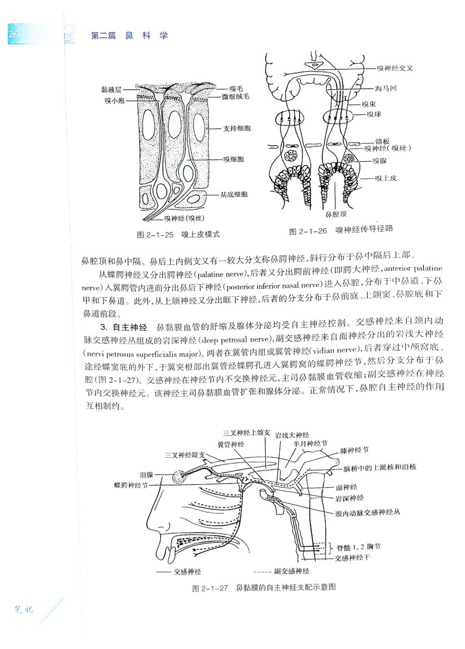 10.耳鼻咽喉头颈外科学（第8版）_61-80.pdf_第1页