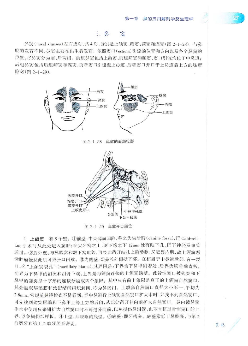 10.耳鼻咽喉头颈外科学（第8版）_61-80.pdf_第2页